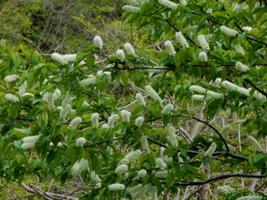 DSCN9635