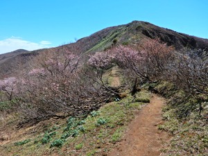 DSCN0253