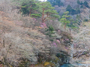 DSCN9913