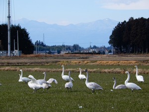 DSCN8857