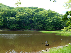 DSCN2060