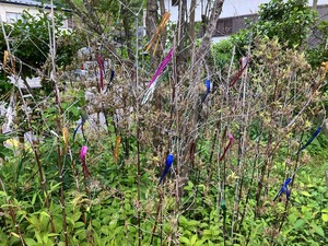 IMG_0160
