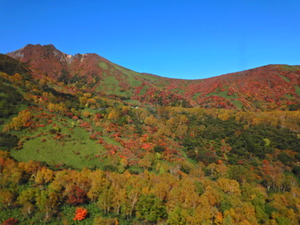 DSCN9751