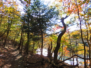 DSCN0271