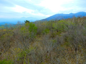 DSCN0630