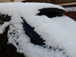DSCN9865