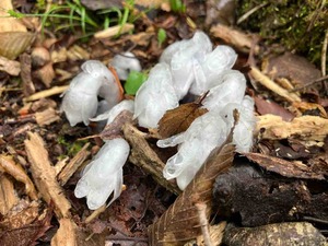 IMG_9362