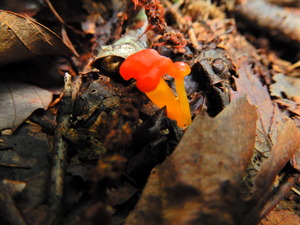 DSCN9582