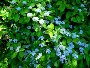 DSCN2202