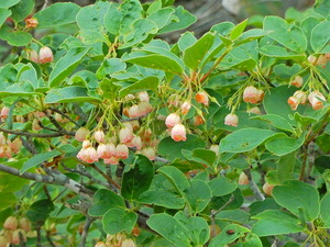 DSCN9648