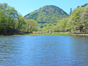 DSCN0386