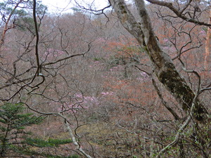 DSCN9631