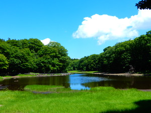 DSCN9306