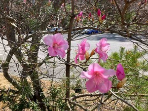 IMG_1845