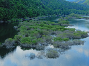 DSCN9656
