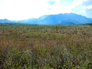 DSCN0868
