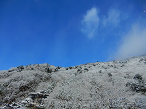 DSCN9765