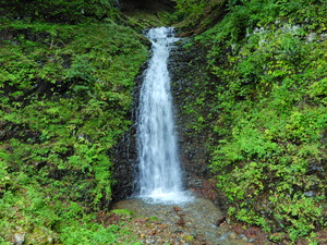 DSCN9440