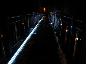 DSCN8502
