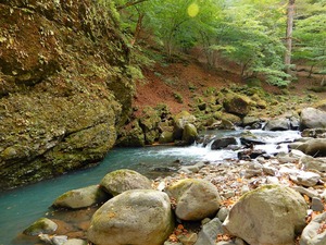 DSCN4382