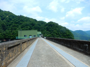 DSCN9313