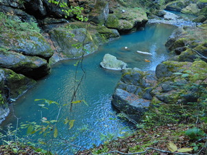 DSCN0186
