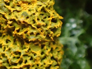 P8224165