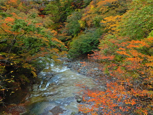DSCN0024