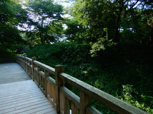 DSCN1050