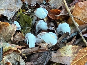 IMG_9360