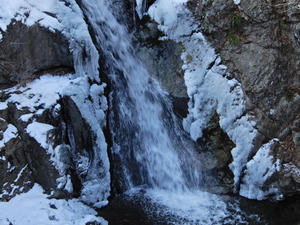 DSCN9691