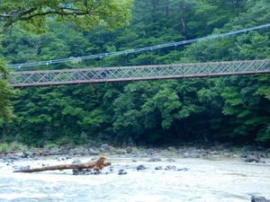 DSCN0461