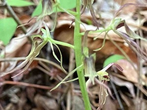 IMG_3685