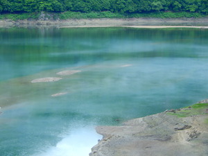 DSCN9684