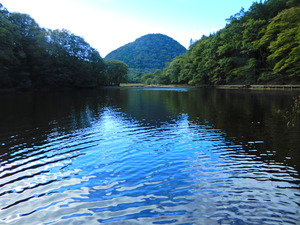 DSCN9917