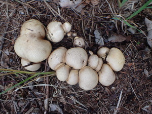P9301321