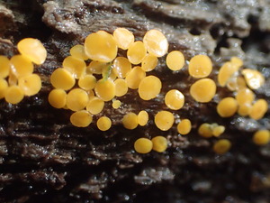 P9231094