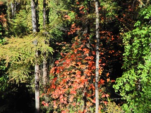 DSCN9291