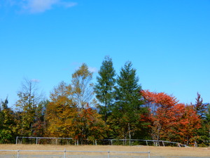 DSCN9925