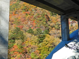 DSCN0147