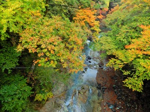 DSCN1155