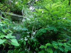 DSCN0927