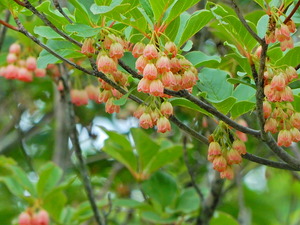 DSCN9649