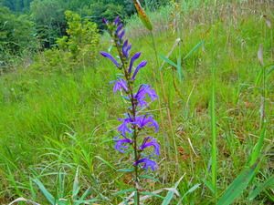 DSCN0168