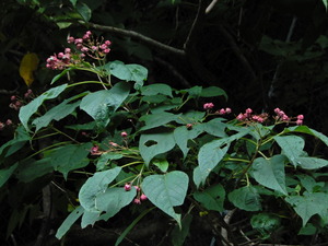 DSCN0724