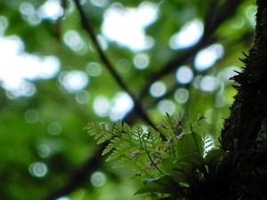 DSCN9945