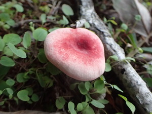 P9301360