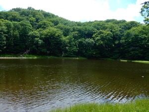 DSCN0661