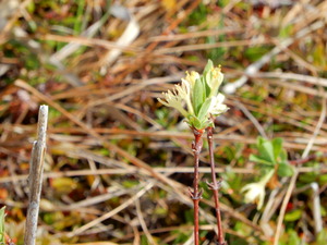 DSCN0761