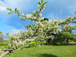 DSCN0258